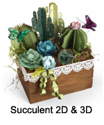 661933_Succulents_2D_3D