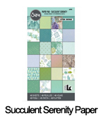 661935_Succulent_Serenity_paper