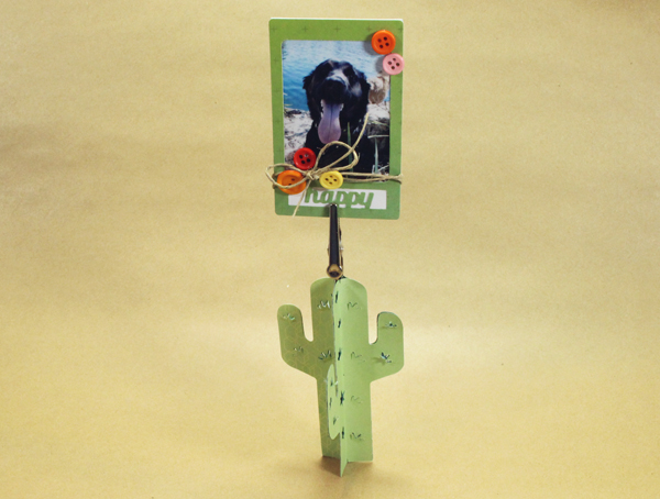 Succulent_photo_stand